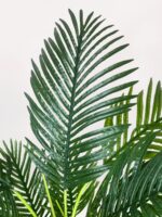 Siyah Mini Saksıda Areka - Görsel 2