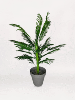 Gri Mini Saksıda Areka