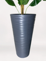 Gri Uzun Saksıda Starliçe - Görsel 2