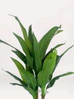 Kahverengi Uzun Saksıda 3'lü Muz Ağacı - Görsel 2