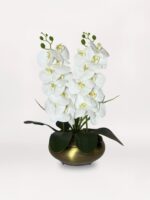 Luxe Bronze Orchid