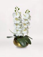 Luxe Bronze Orchid - Görsel 2