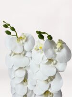 Luxe Bronze Orchid - Görsel 3