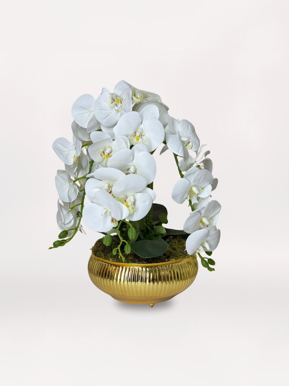 Luxe Golden Trailing Orchid -Acardesing com Luxe Golden Trailing Orchid - Görsel 1