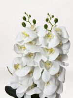 Luxe Silver Orchid - Görsel 3