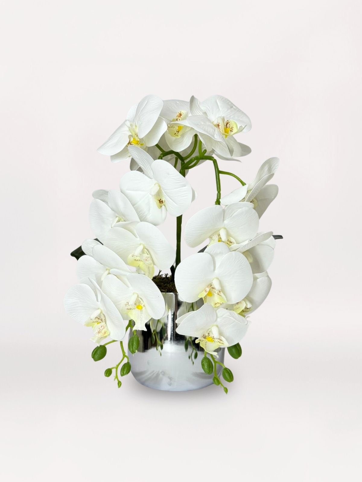 Silver Trailing Orchid 160-Acaryadesing com Silver Trailing Orchid - Görsel 1