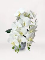 Silver Trailing Orchid - Görsel 2
