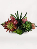 Kayık Vazoda Sukulent - Görsel 2