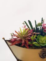 Kayık Vazoda Sukulent - Görsel 3