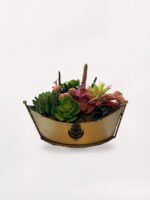 Kayık Vazoda Sukulent