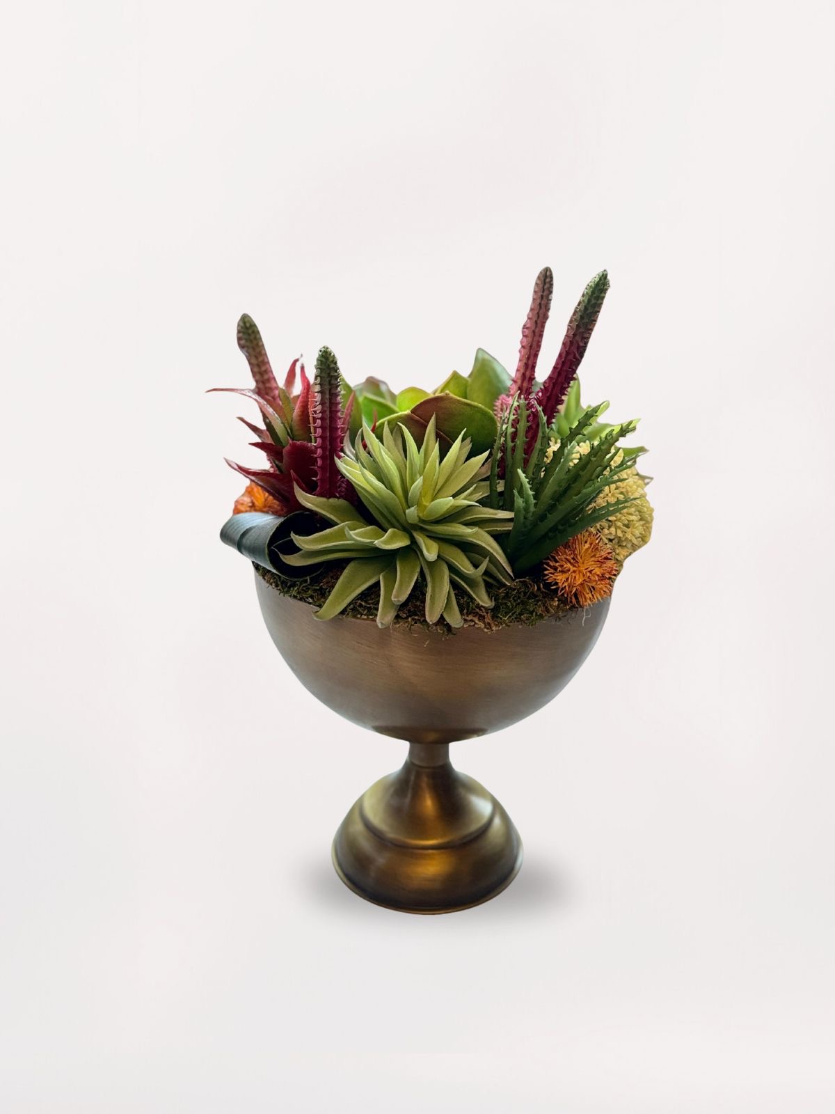 128191d4-66d6-4db5-bdb2-dcb86d07f7cf Şeker Vazoda Sukulent - Görsel 1