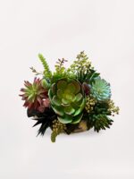 Gümüş Vazoda Sukulent - Görsel 2