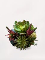 Şeker Vazoda Sukulent - Görsel 2