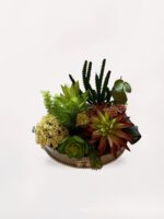 Gümüş Vazoda Sukulent - Görsel 2