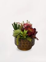 Damalı Vazoda Sukulent