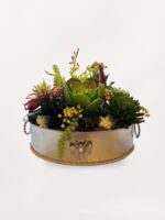 Gümüş Vazoda Sukulent