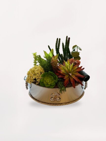 Gümüş Vazoda Sukulent