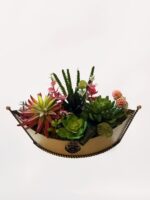Kayık Vazoda Sukulent - Görsel 4