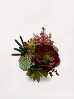 Damalı Vazoda Sukulent - Görsel 2